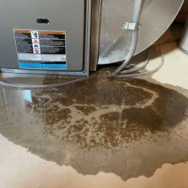 Appliance Leak Cleanup in Pike County, MS